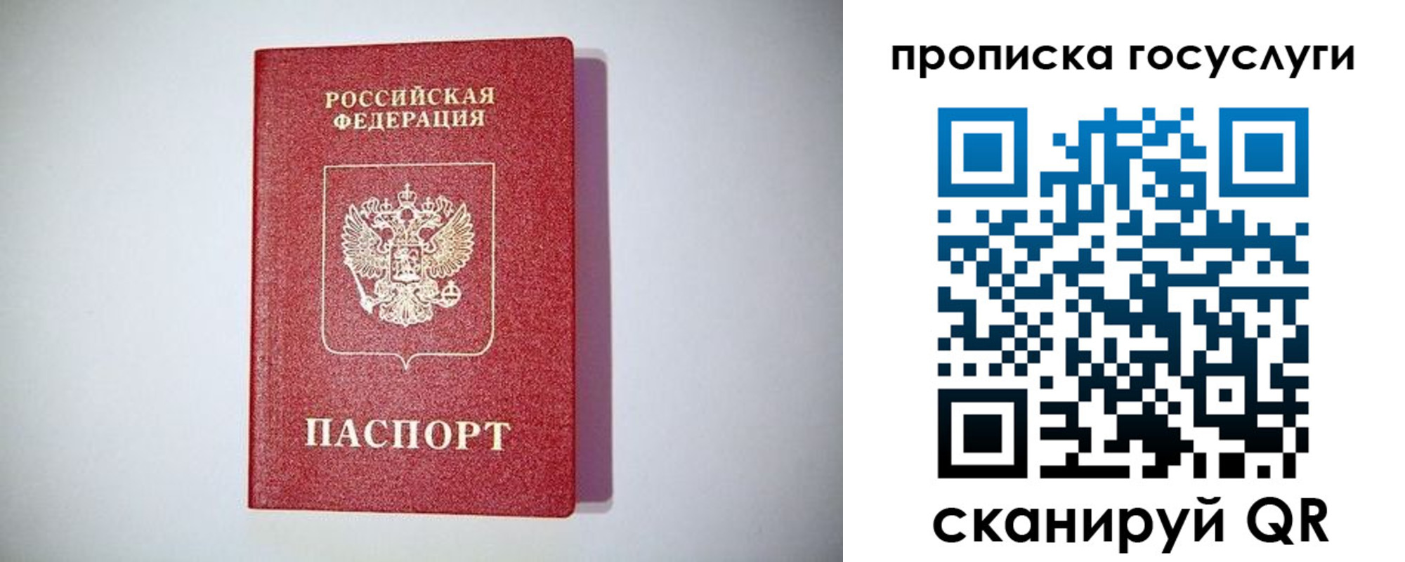 временная регистрация госуслуги в Долгопрудном